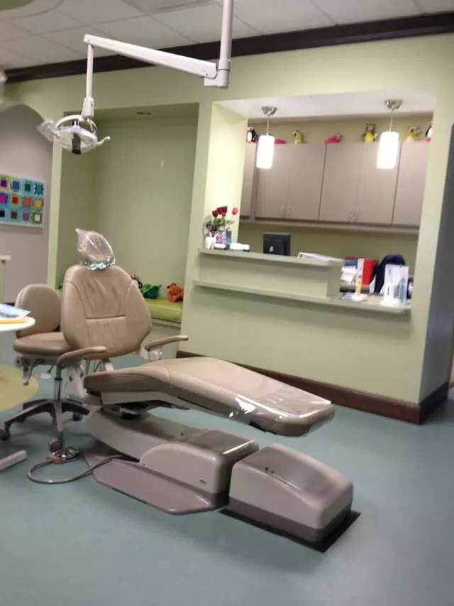 Dimauro Michael P DDS PA