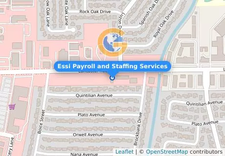 Essi Payroll and Staffing Services