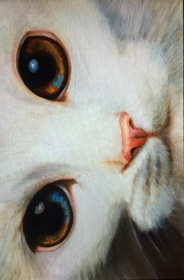 Petraits