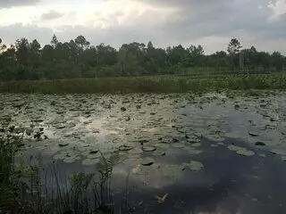 Hidden Pond Preserve