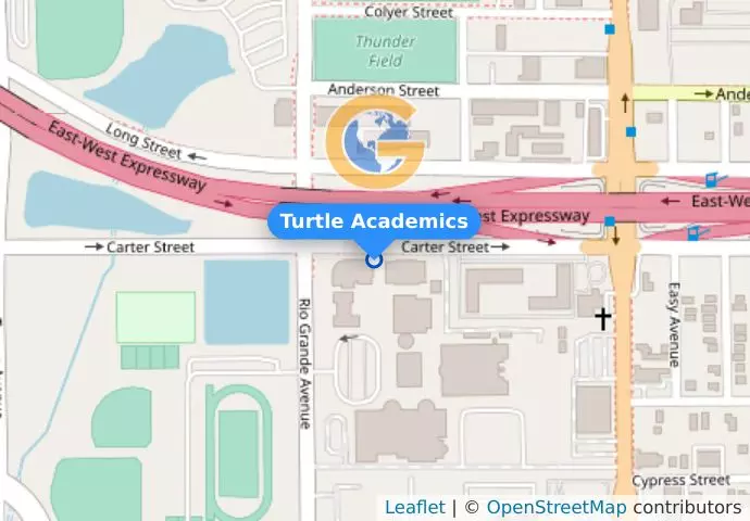 Turtle Academics