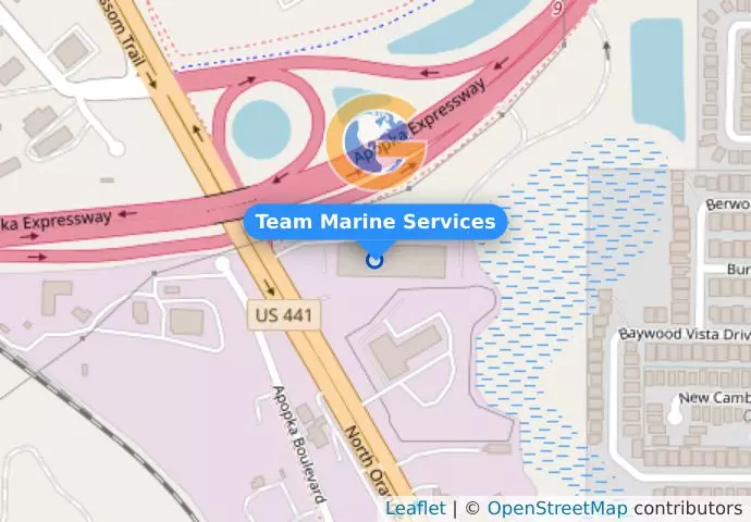 Team Marine Services