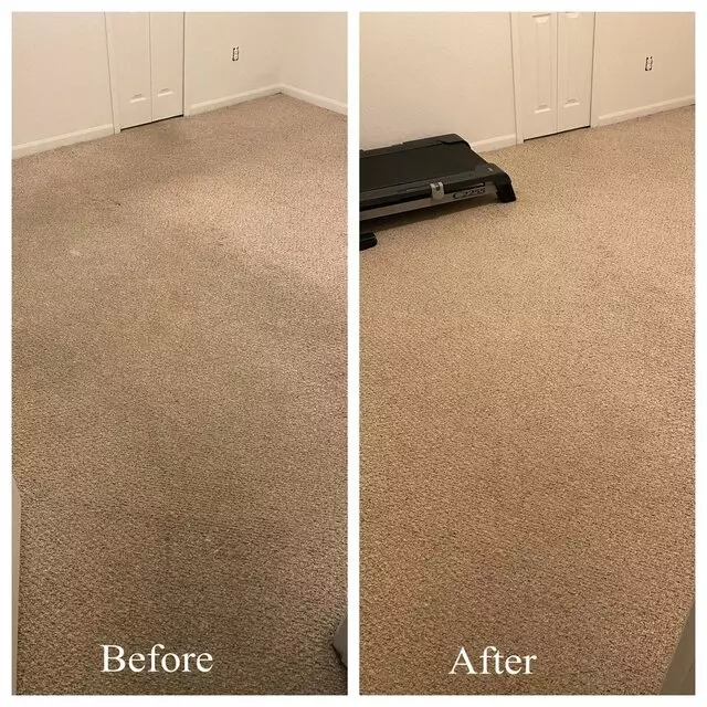 Red Hawk Carpet Care