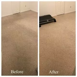 Red Hawk Carpet Care