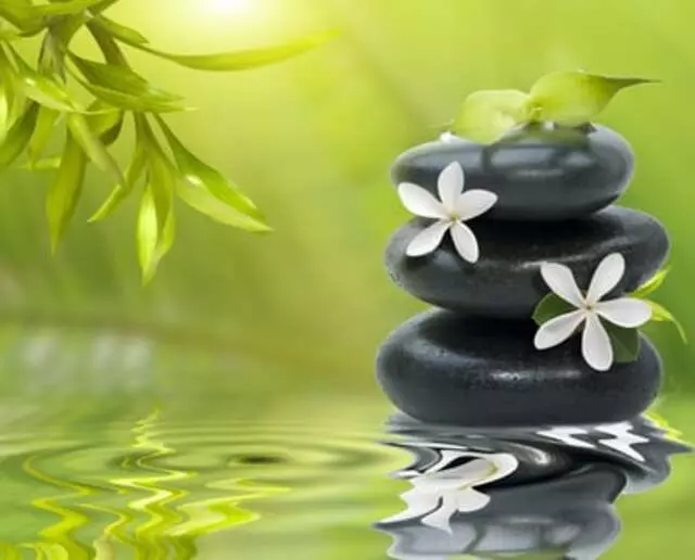 Zenful Paradise