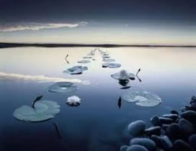 Zenful Paradise