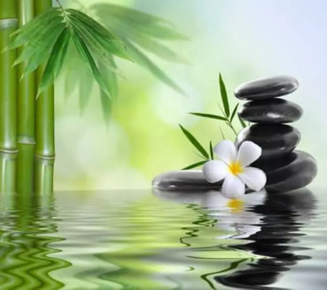 Zenful Paradise