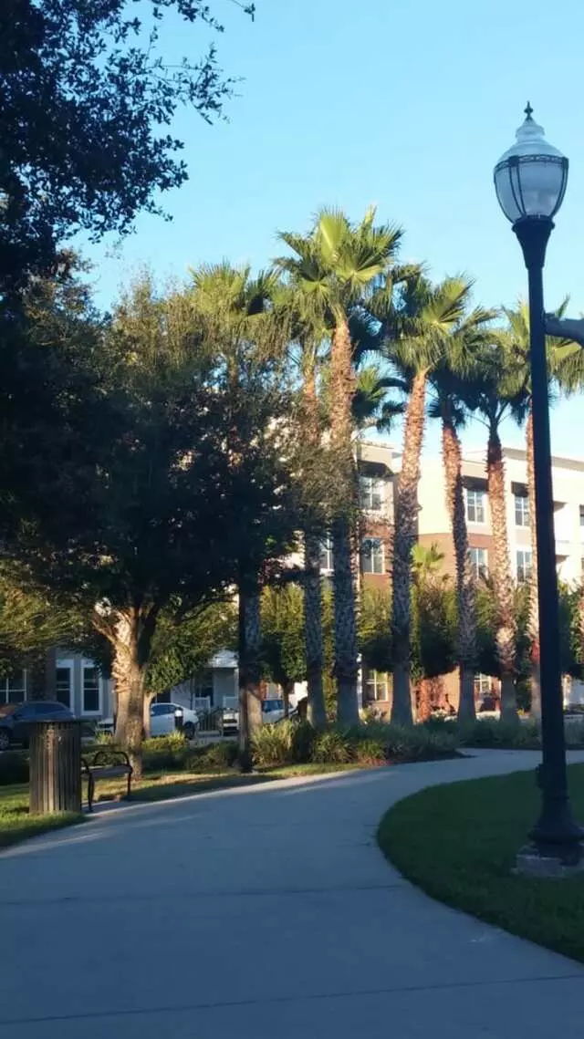 Avalon Town Park