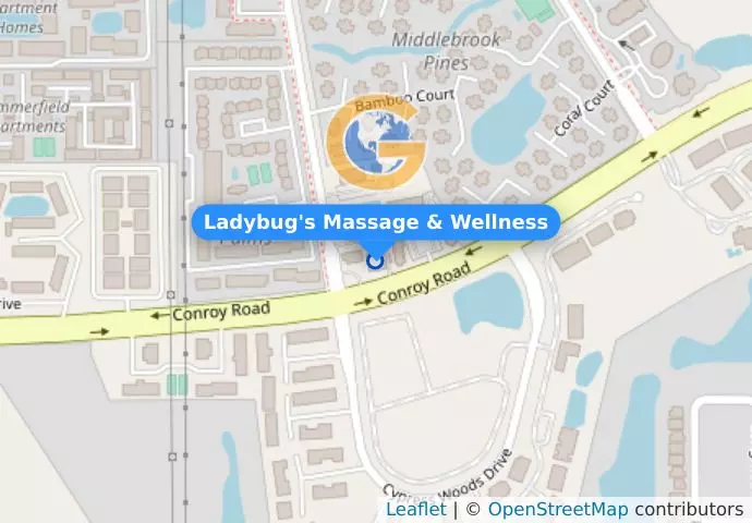 Ladybug&apos;s Massage & Wellness