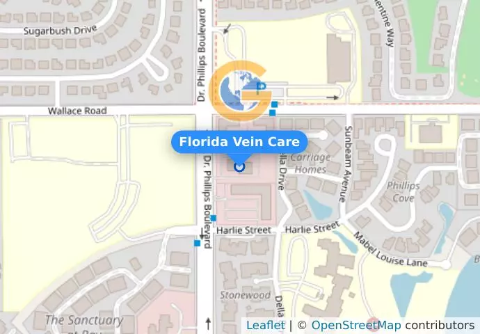 Florida Vein Care