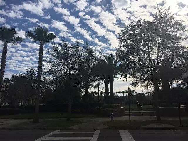 Avalon Park