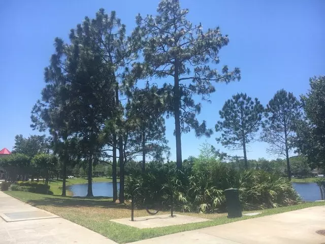 Avalon Park