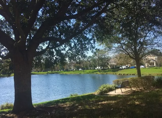 Avalon Park
