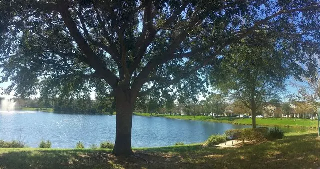 Avalon Park