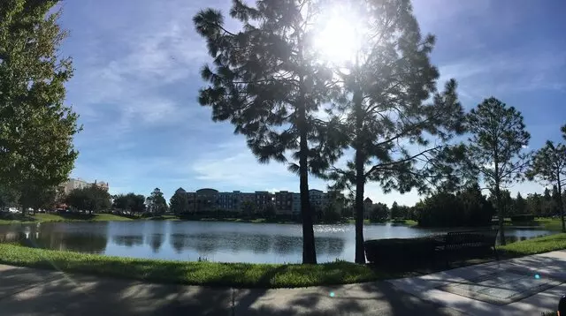 Avalon Park