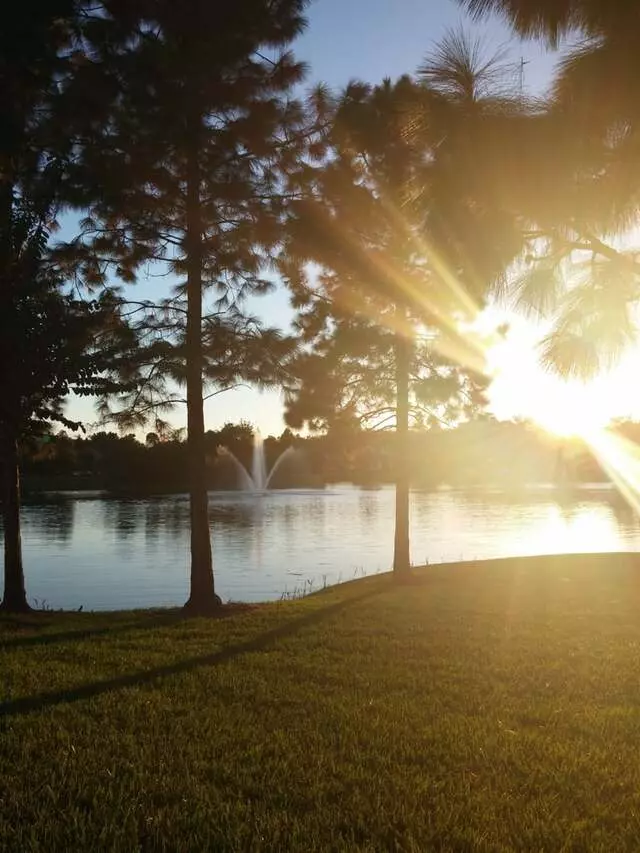 Avalon Park