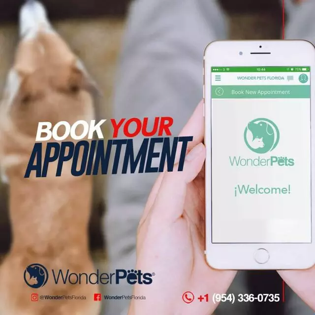 Wonder Pets Florida
