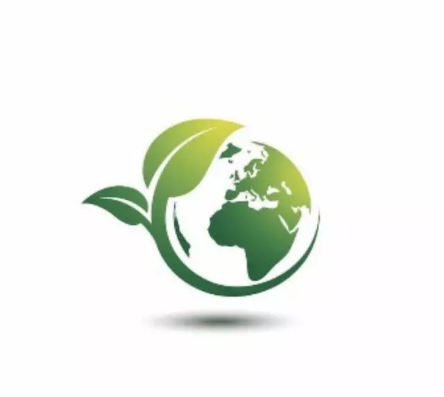 Go Green Clean