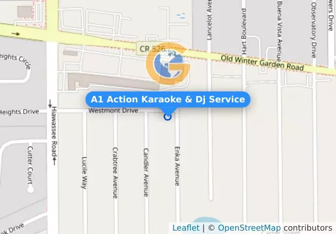 A1 Action Karaoke & Dj Service