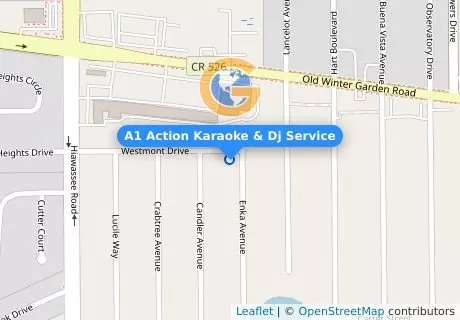 A1 Action Karaoke & Dj Service