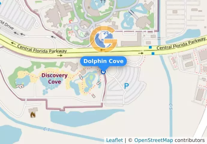 Dolphin Cove