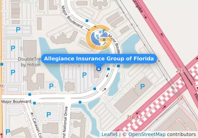 Allegiance Insurance Group of Florida