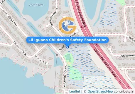 Lil Iguana Children's Safety Foundation