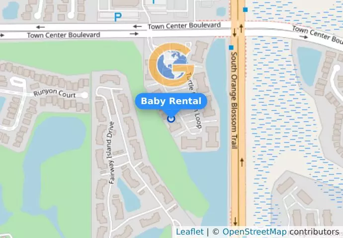 Baby Rental