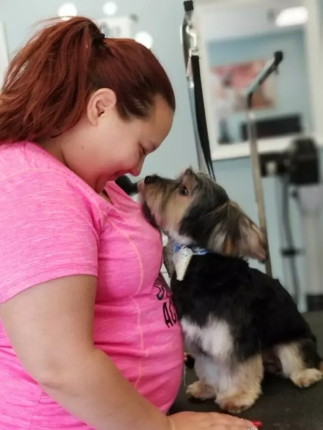Dog Groomer Academy