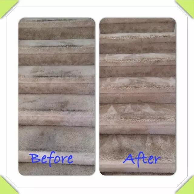 Premium Carpet & Tile Cleaning