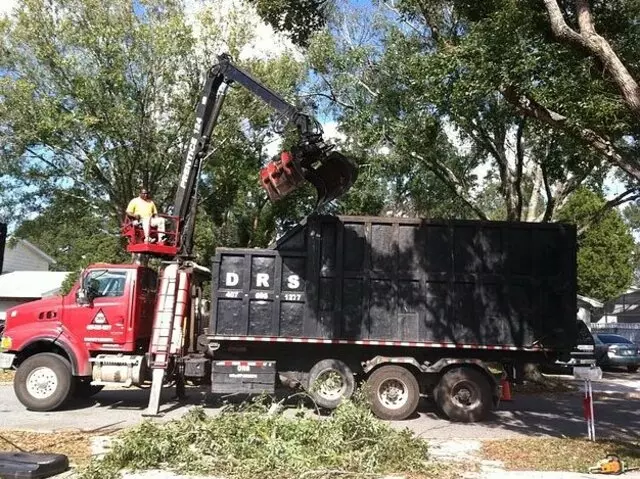 A Final Cut Tree Service