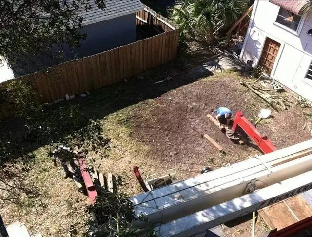 A Final Cut Tree Service
