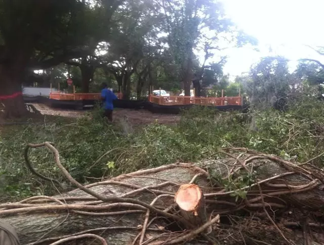 A Final Cut Tree Service