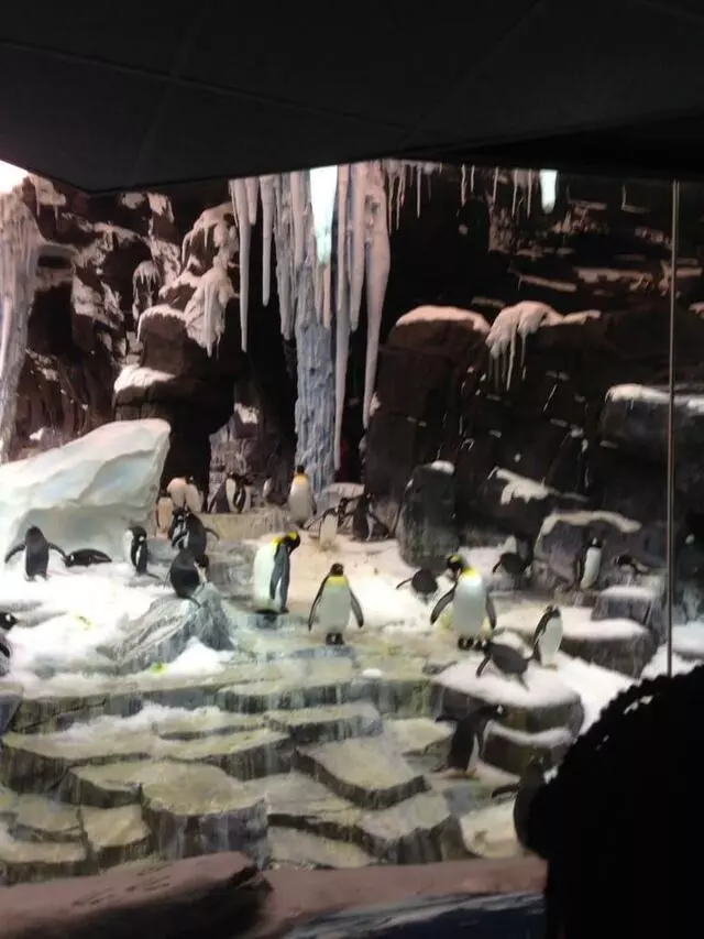Antarctica: Empire of the Penguin