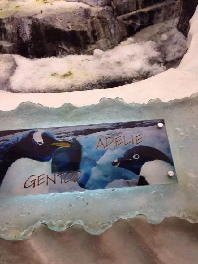 Antarctica: Empire of the Penguin