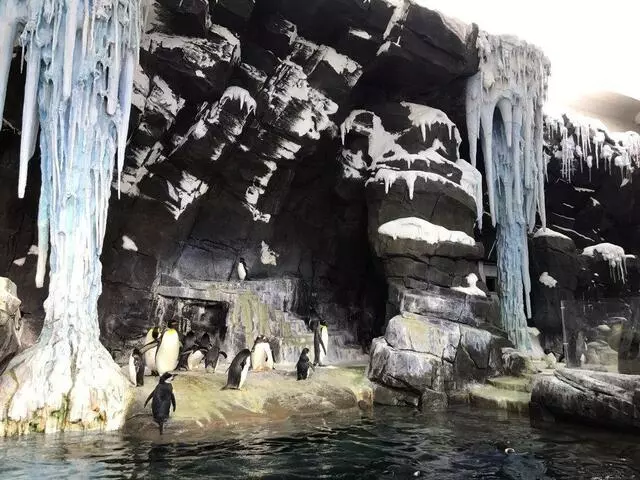 Antarctica: Empire of the Penguin