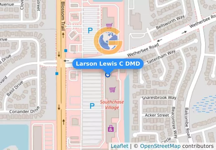Larson Lewis C DMD