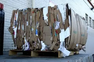Orlando Recycling