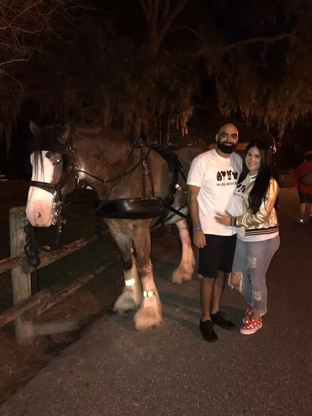 Fort Wilderness Horse-Drawn Excursions