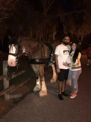 Fort Wilderness Horse-Drawn Excursions