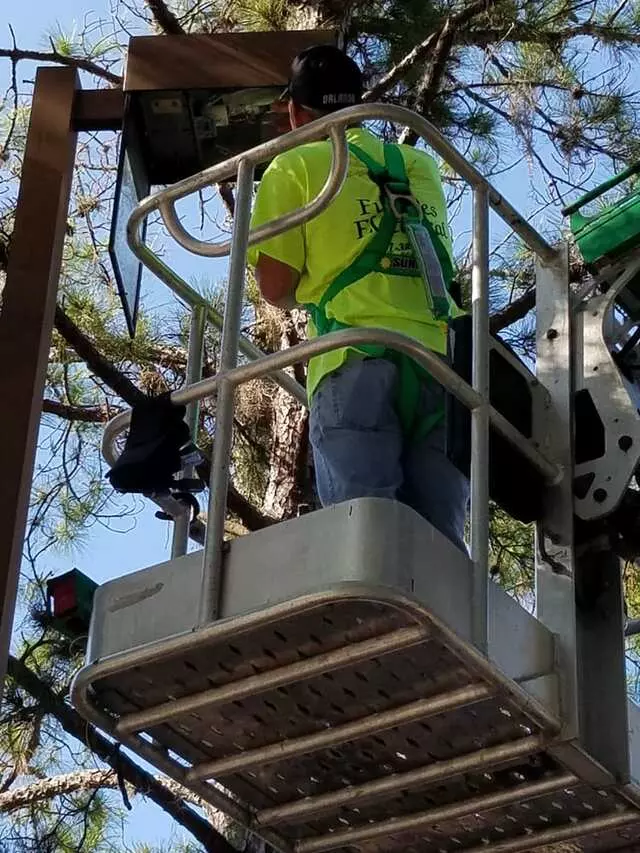 Futures Electrical