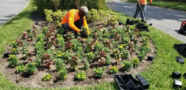 L & J Landscape Design and Maintenance