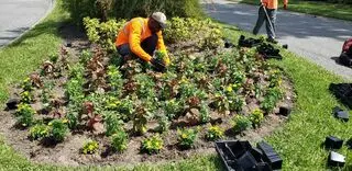 L & J Landscape Design and Maintenance