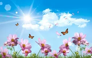 Shari Dworkin-Smith - Psychic Medium
