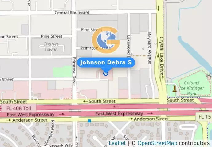 Johnson Debra S