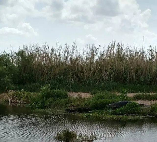 Airrow Boat Tours