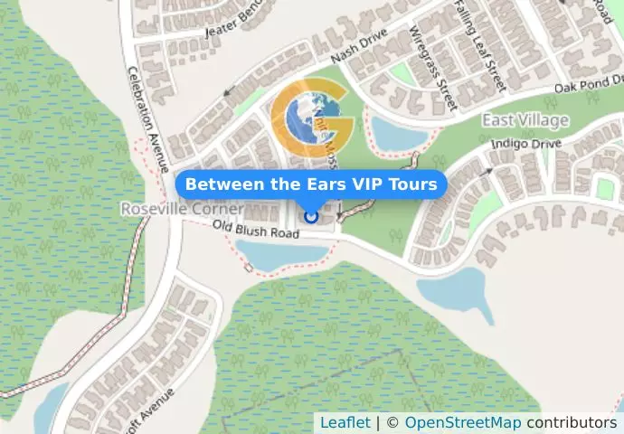 Between the Ears VIP Tours