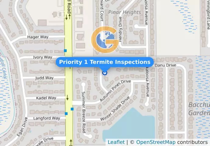 Priority 1 Termite Inspections