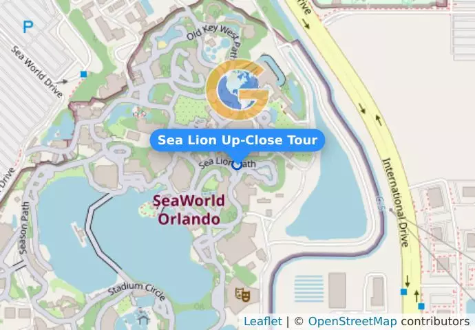 Sea Lion Up-Close Tour
