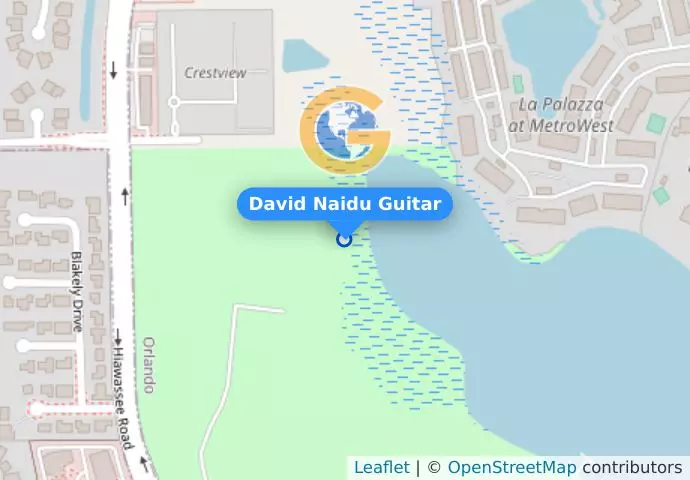 David Naidu Guitar